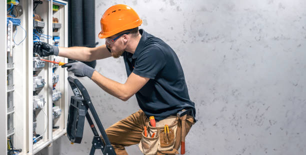 Best Electric Panel Repair  in Mulberry, FL